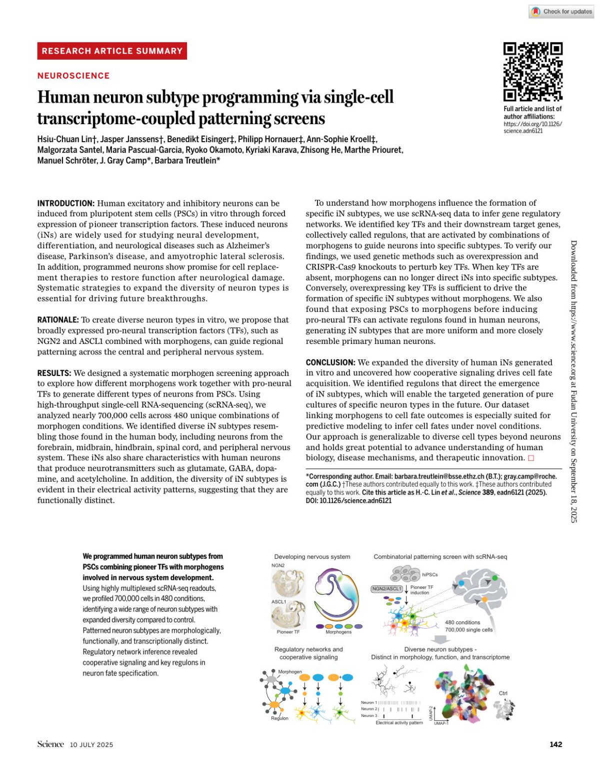 Human Neuron Subtype Programming Via Singlecell Transcriptomecoupled Patterning Screens Hsiuchuan Lin