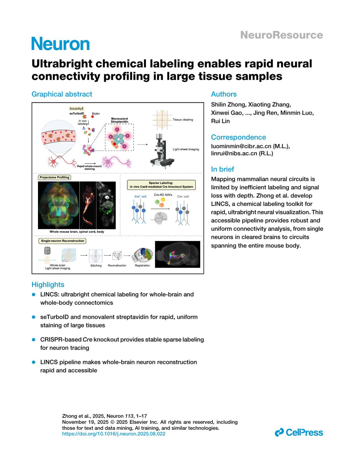 Ultrabright Chemical Labeling Enables Rapid Neural Connectivity Profiling In Large Tissue Samples Shilin Zhong Xiaoting Zhang Xinwei Gao Zhongyu Li Linling Huang Qingchun Guo Rong Gong Jing Ren Minmin Luo Rui Lin