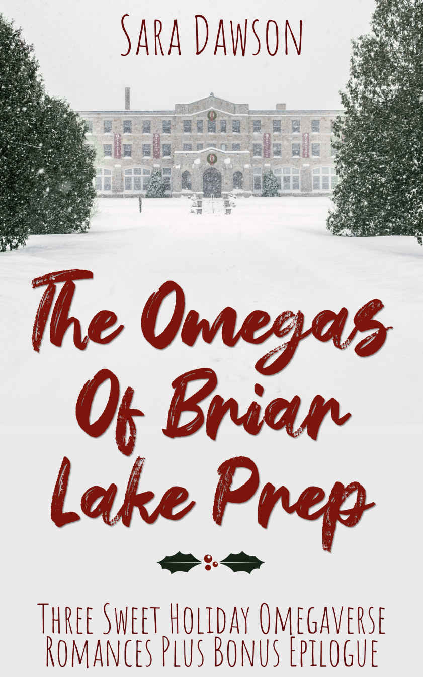 The Omegas Of Briar Lake Prep Sara Dawson