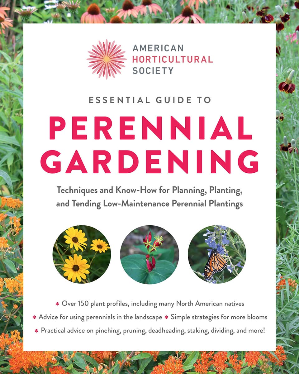 Essential Guide To Perennial Gardening Techniques And Knowhow For Planning Planting And Tending Lowmaintenance Perennial Plantings American Horticultural Society