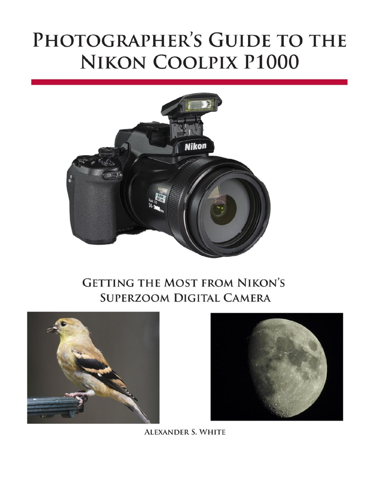 Photographers Guide To The Nikon Coolpix P1000 Alexander S White