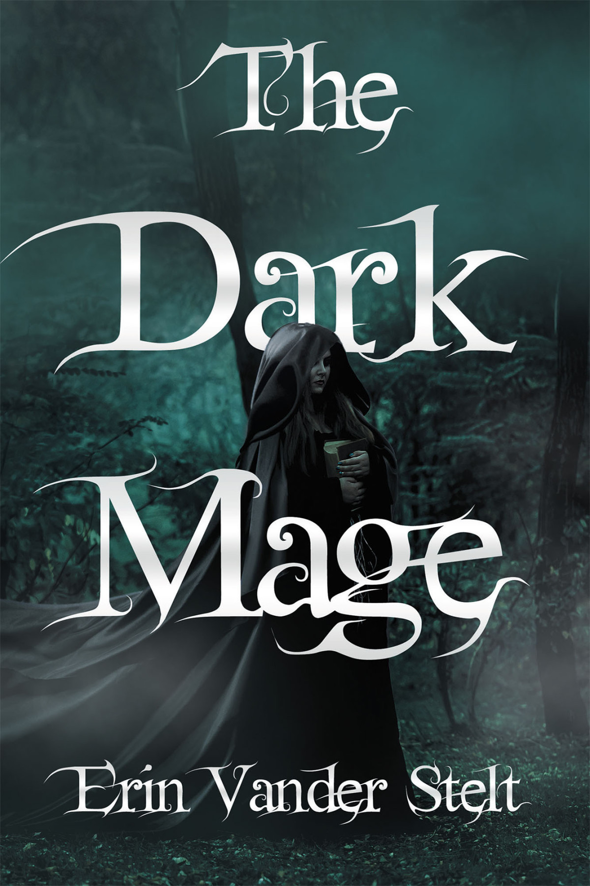 The Dark Mage Erin Vander Stelt