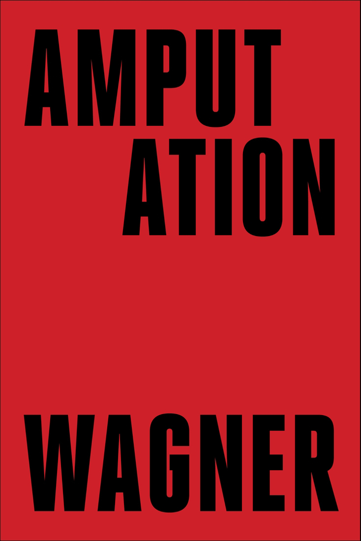 Amputation Bruce Wagner