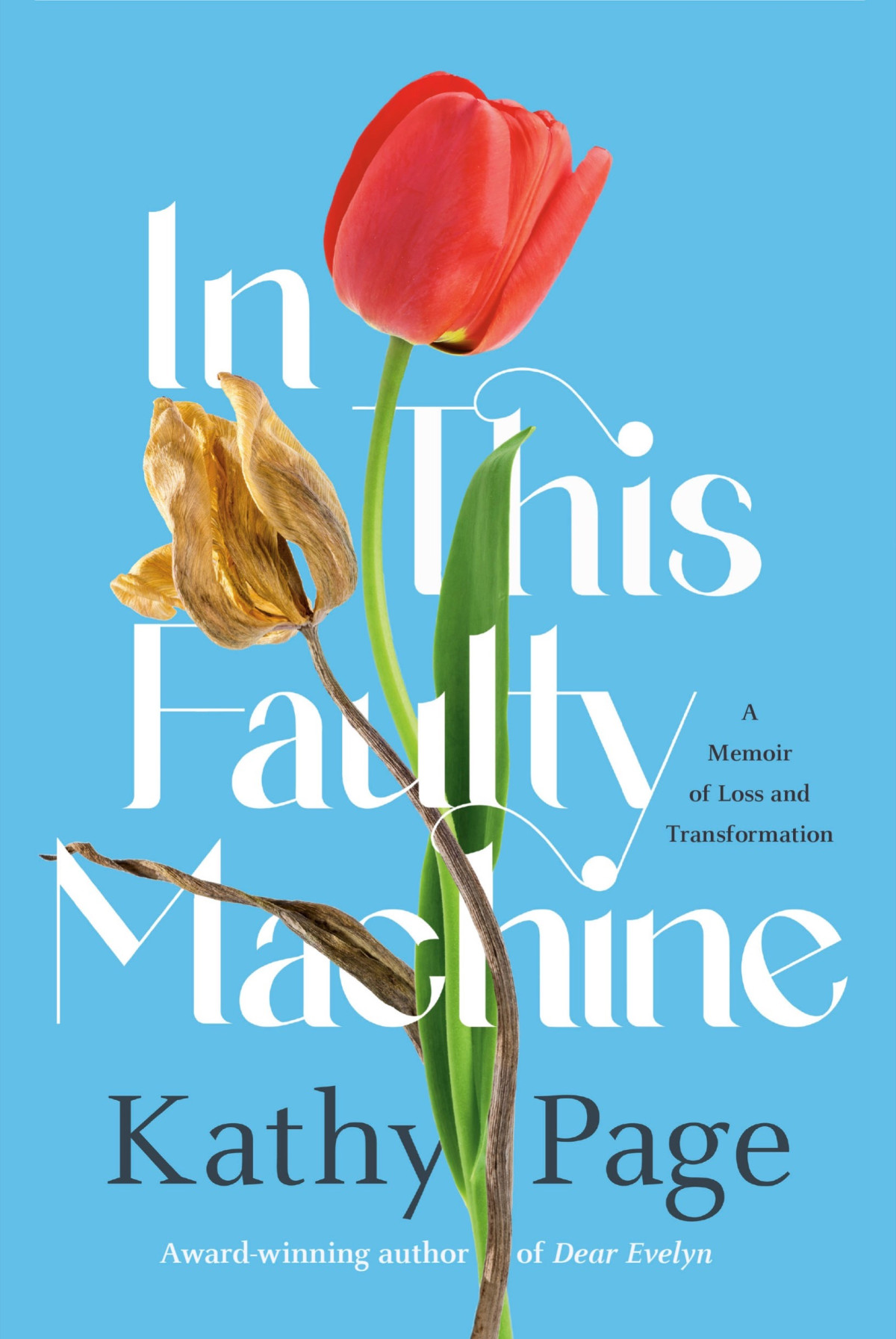 In This Faulty Machine A Memoir Of Loss And Transformation Kathy Page