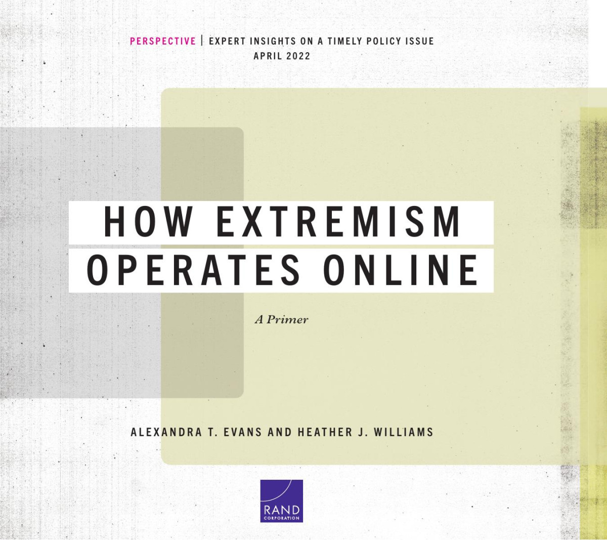 How Extremism Operates Online A Primer Alexandra T Evans Heather J Williams
