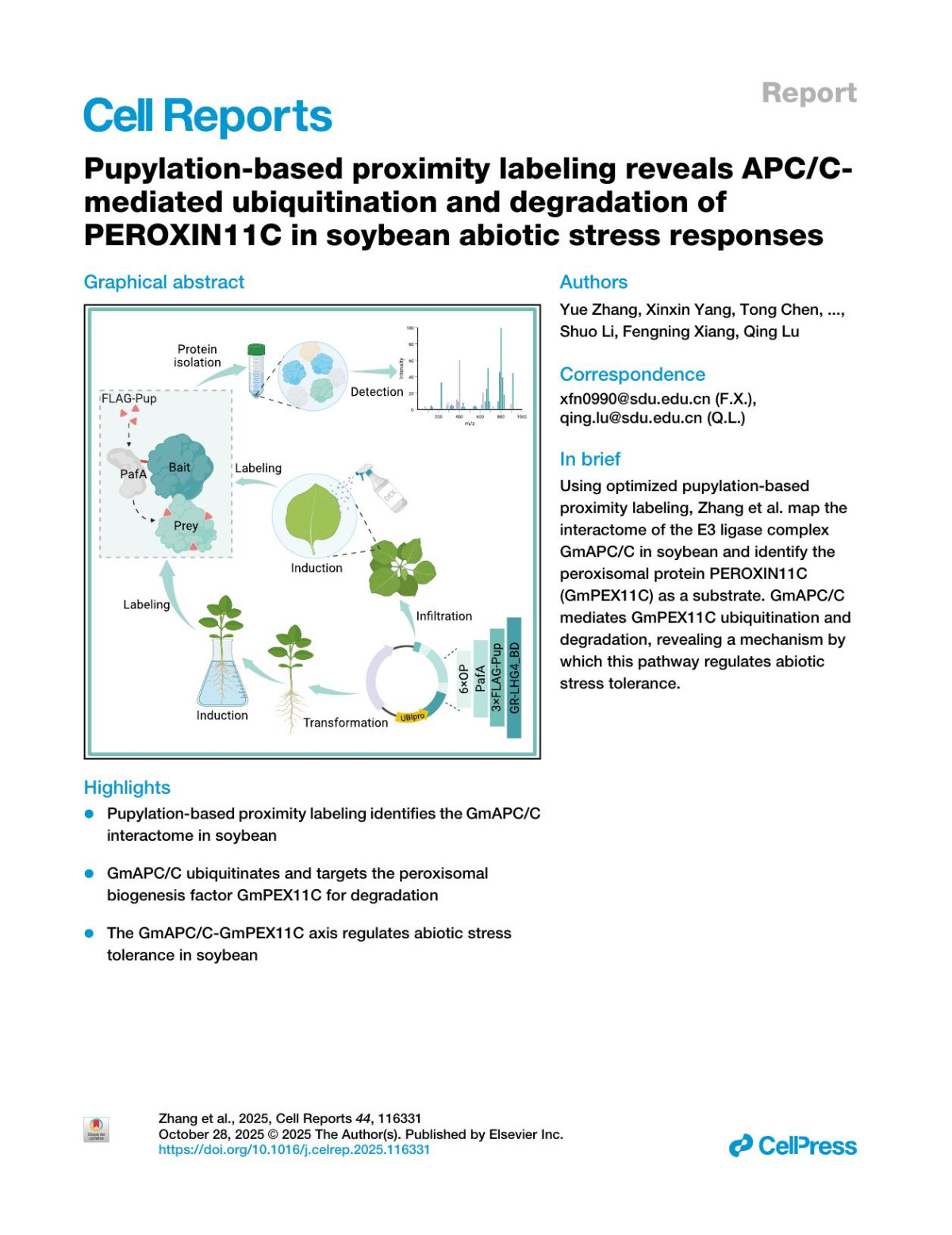 Pupylationbased Proximity Labeling Reveals Apccmediated Ubiquitination And Degradation Of Peroxin11c In Soybean Abiotic Stress Responses 116331th Edition Yue Zhang