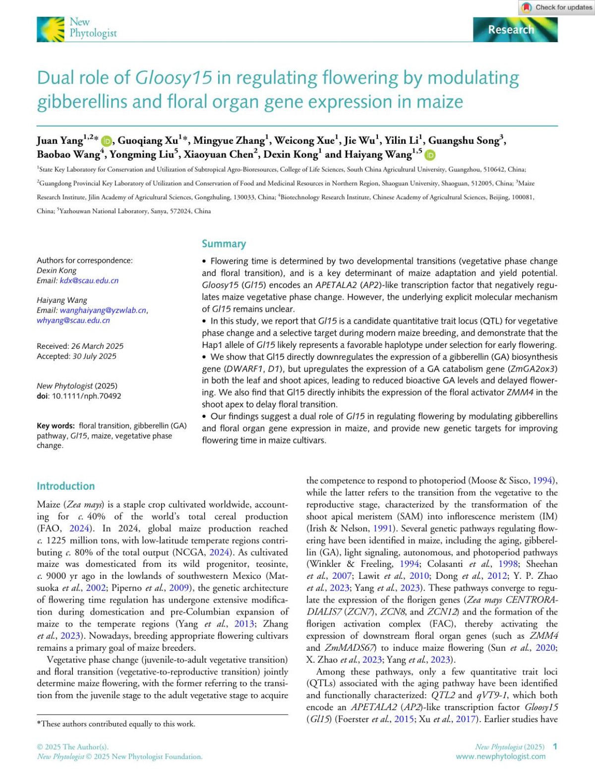 Dual Role Of Gloosy15 In Regulating Flowering By Modulating Gibberellins And Floral Organ Gene Expression In Maize Juan Yang