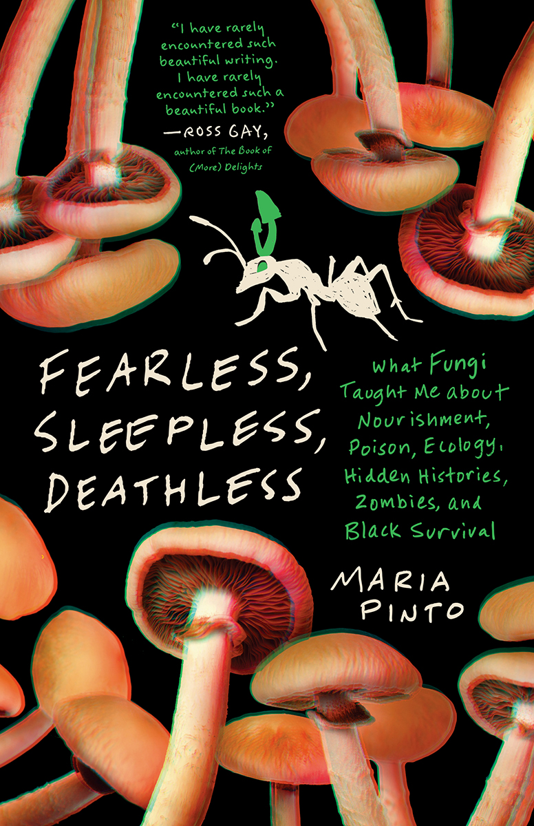 Fearless Sleepless Deathless Maria Pinto