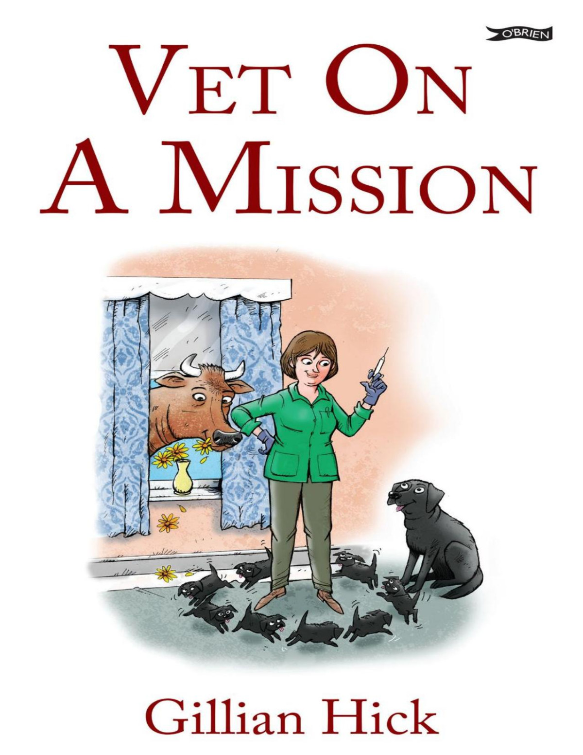 Vet On A Mission Gillian Hick