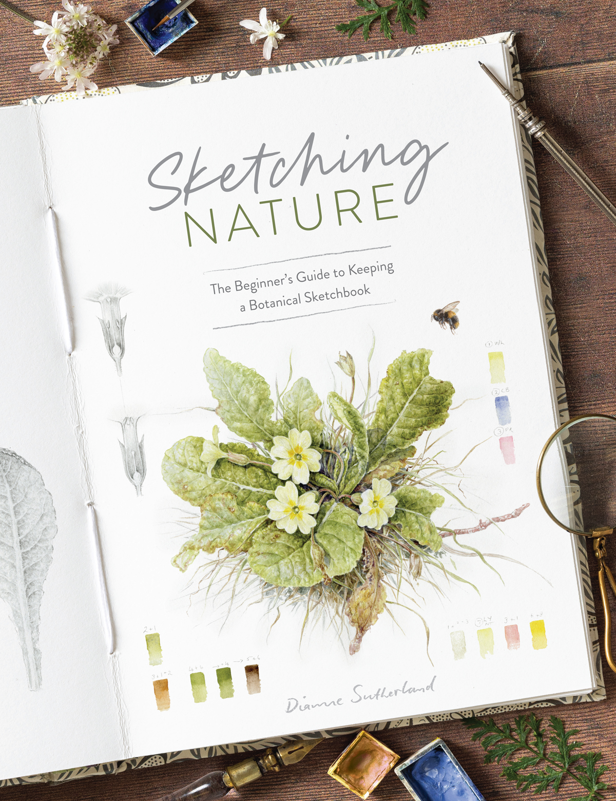 Sketching Nature The Beginners Guide To Keeping A Botanical Sketchbook Dianne Sutherland