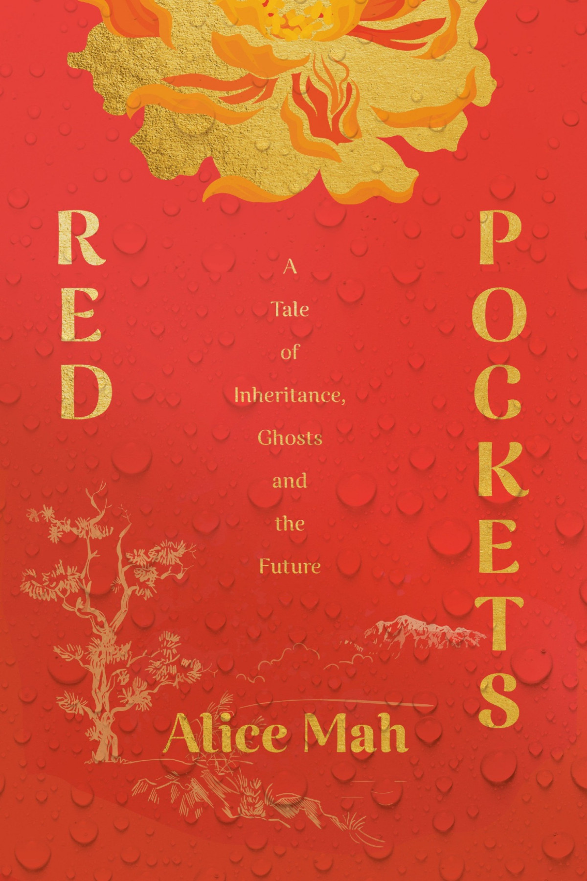Red Pockets A Tale Of Inheritance Ghosts And The Future Alice Mah