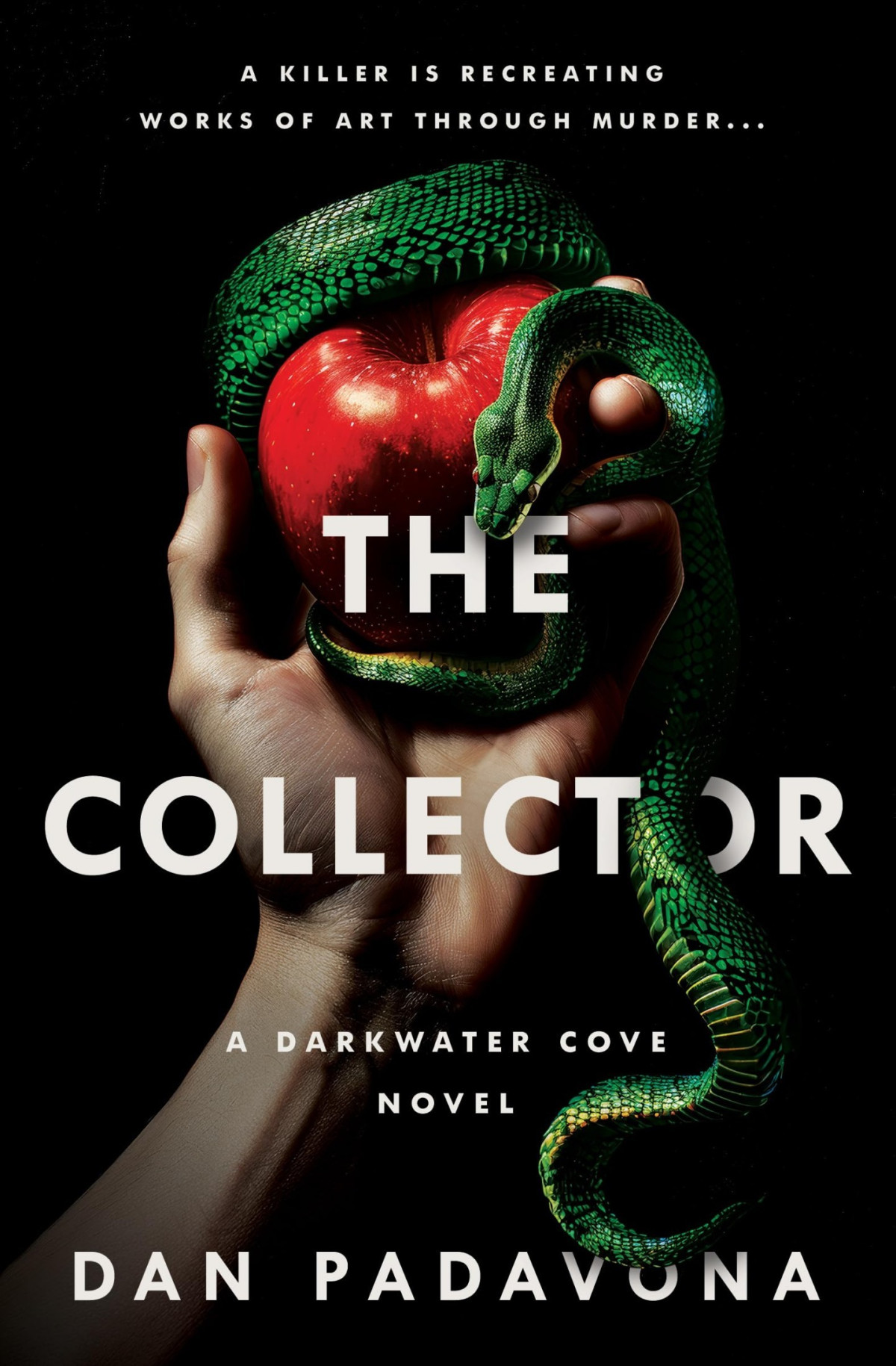 Darkwater Cove 9 The Collector Dan Padavona