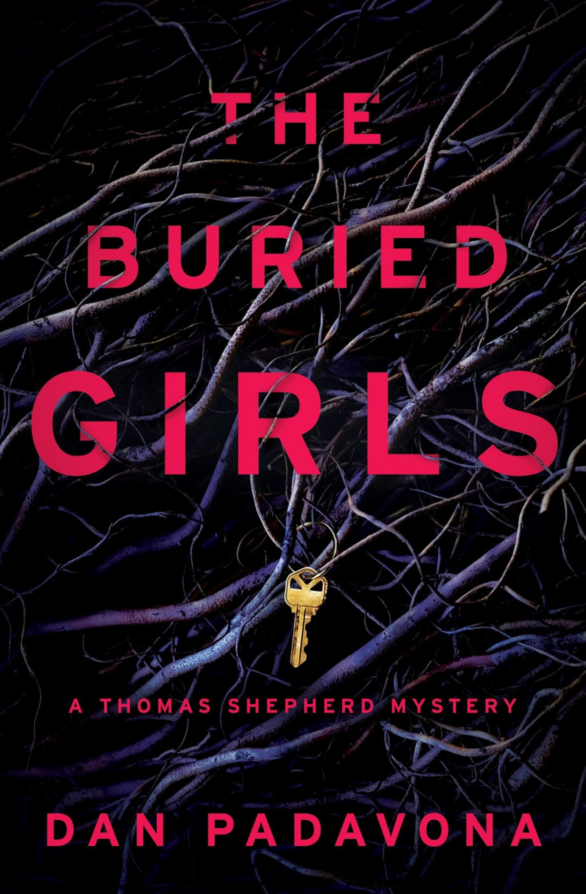 Thomas Shepherd 5 The Buried Girls Dan Padavona