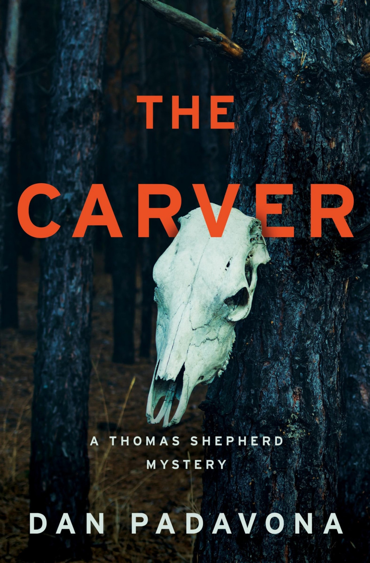 Thomas Shepherd 6 The Carver Dan Padavona