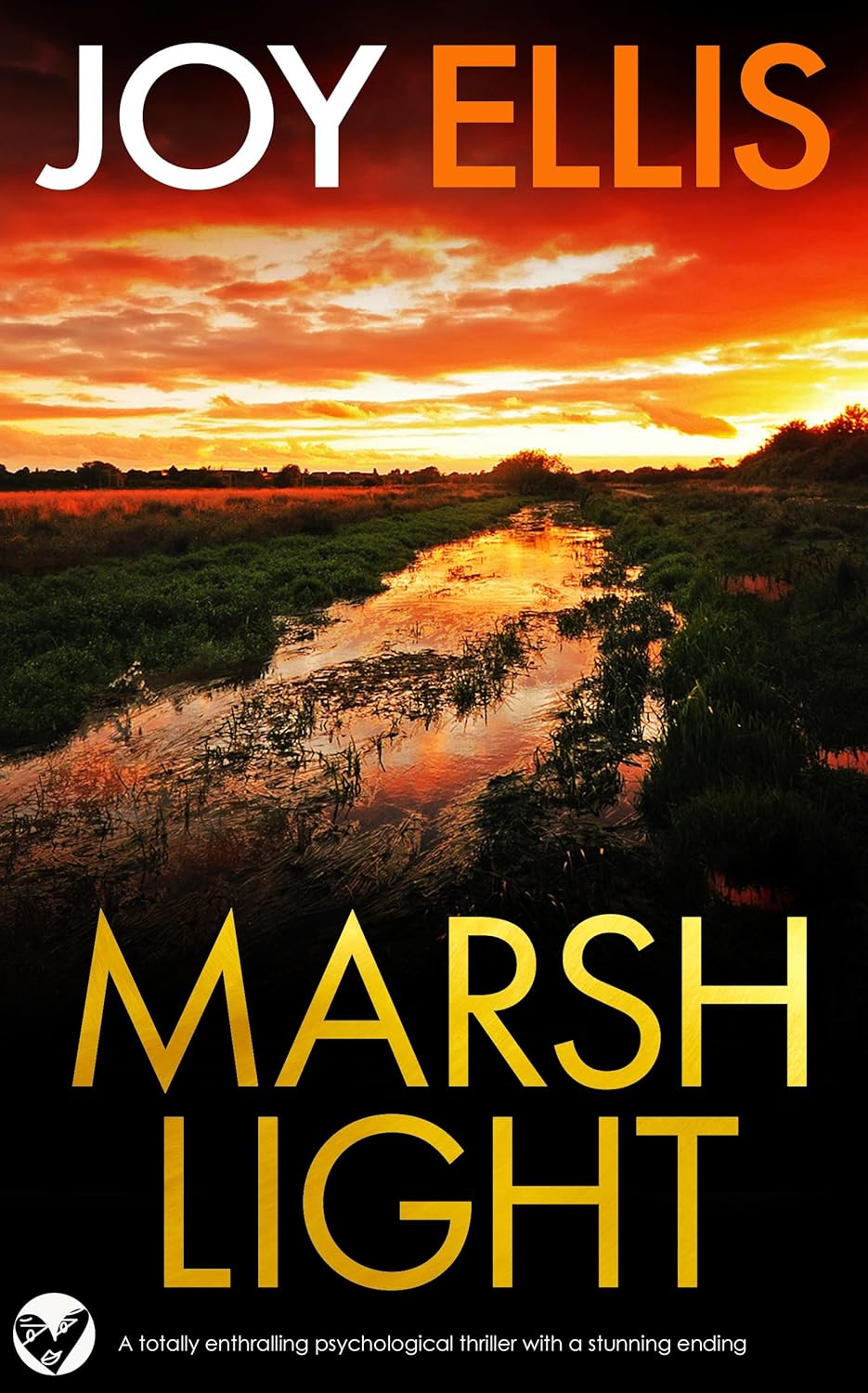 Dci Matt Ballard 4 Marshlight Joy Ellis