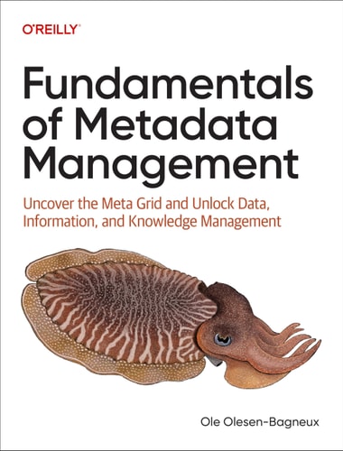 Fundamentals Of Metadata Management Uncover The Meta Grid And Unlock Data Information And Knowledge Management 1st Edition Ole Olesenbagneux