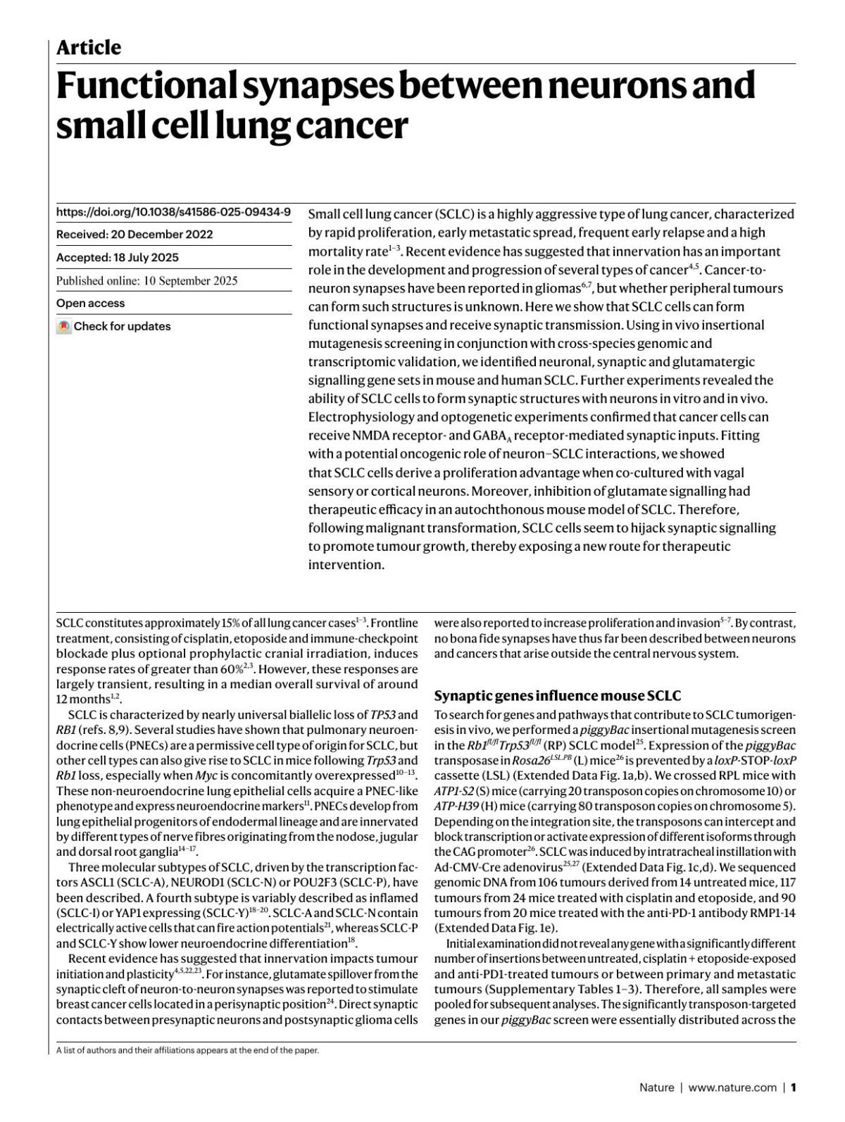 Functional Synapses Between Neurons And Small Cell Lung Cancer Vignesh Sakthivelu Anna Schmitt Franka Odenthal Kristiano Ndoci Marian Touet Ali H Shaib Abdulla Chihab Gulzar A Wani Pascal Nieper Griffin G Hartmann Isabel Pintelon Ilmars Kisis Maike Boecker Naja M Eckert Manoela