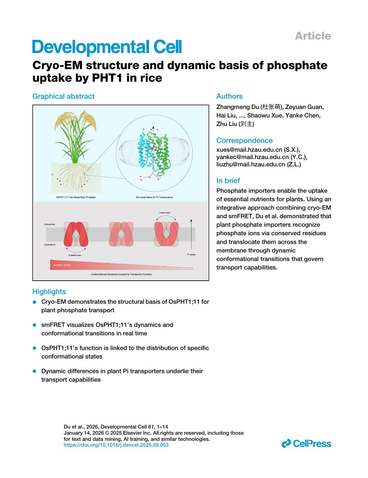 Cryoem Structure And Dynamic Basis Of Phosphate Uptake By Pht1 In Rice Zhangmeng Du 杜张萌 Zeyuan Guan Hai Liu Jie Zhang Haitao He Zhiwen Zheng Wenhui Zhang Lihuan Jiang Jiaqi Zuo Yan Liu Beijing Wan Haifu Tu Faming Dong Xuelei Lai Lizhong Xiong Ping Yin Shaowu Xue Yanke Chen Zhu Liu 刘主
