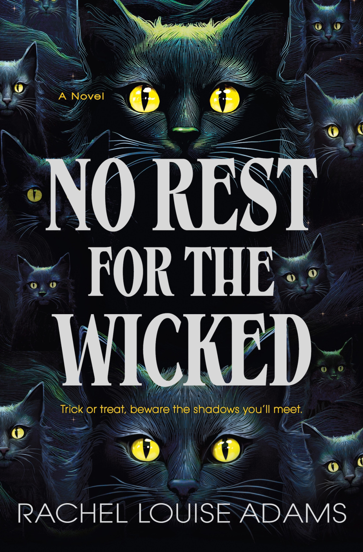 No Rest For The Wicked A Novel Rachel Louise Adams