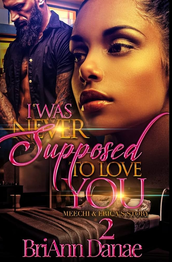 I Was Never Supposed To Love You 2 Meechi And Ericas Story Briann Danae