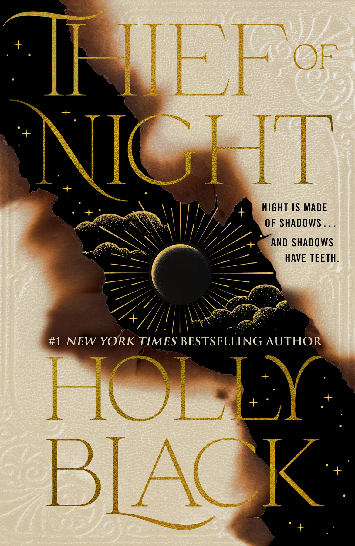 Book Of Night 2 Thief Of Night Holly Black