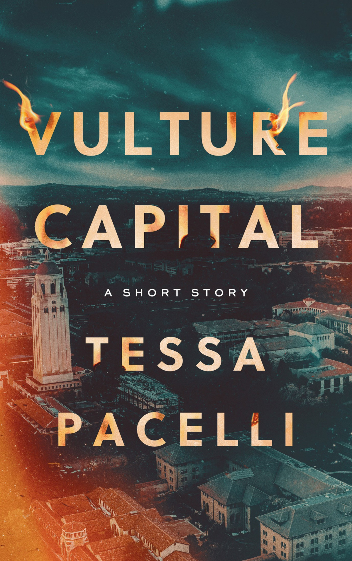 Vulture Capital A Short Story Tessa Pacelli