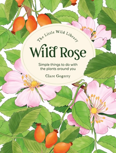 Wild Rose Simple Things To Do With The Plants Around You Sarah Atkinson