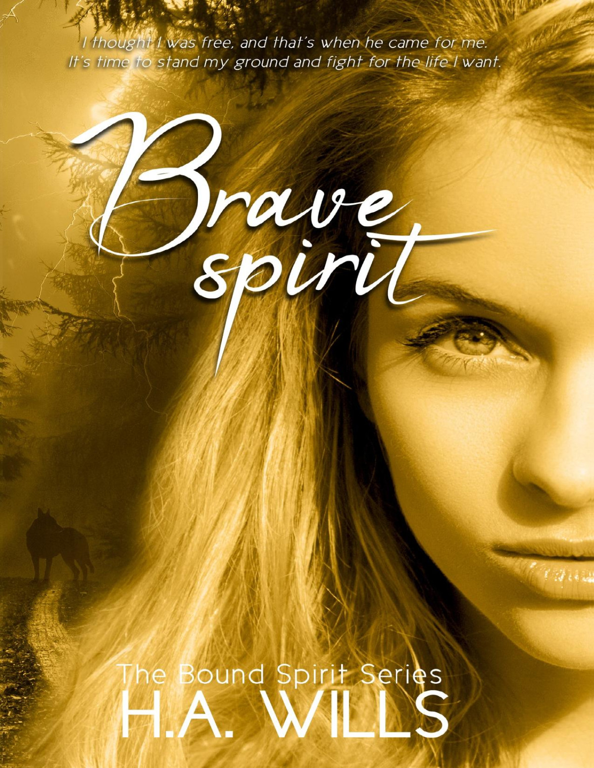 Brave Spirit Book Six Of The Bound Spirit Series Ha Wills