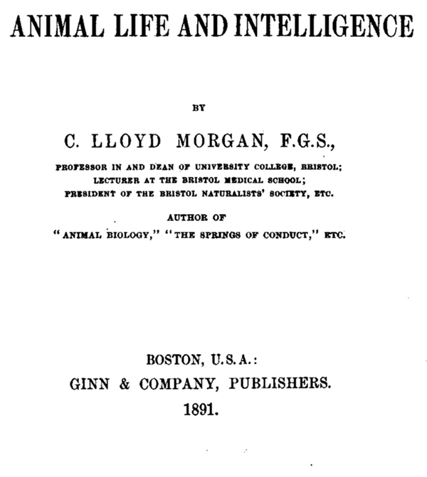 Animal Life And Intelligence C Lloyd Morgan