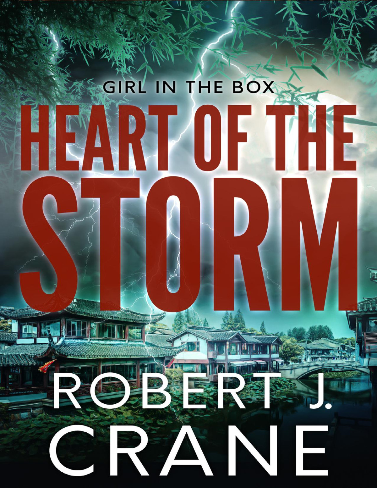 Heart Of The Storm Robert J Crane