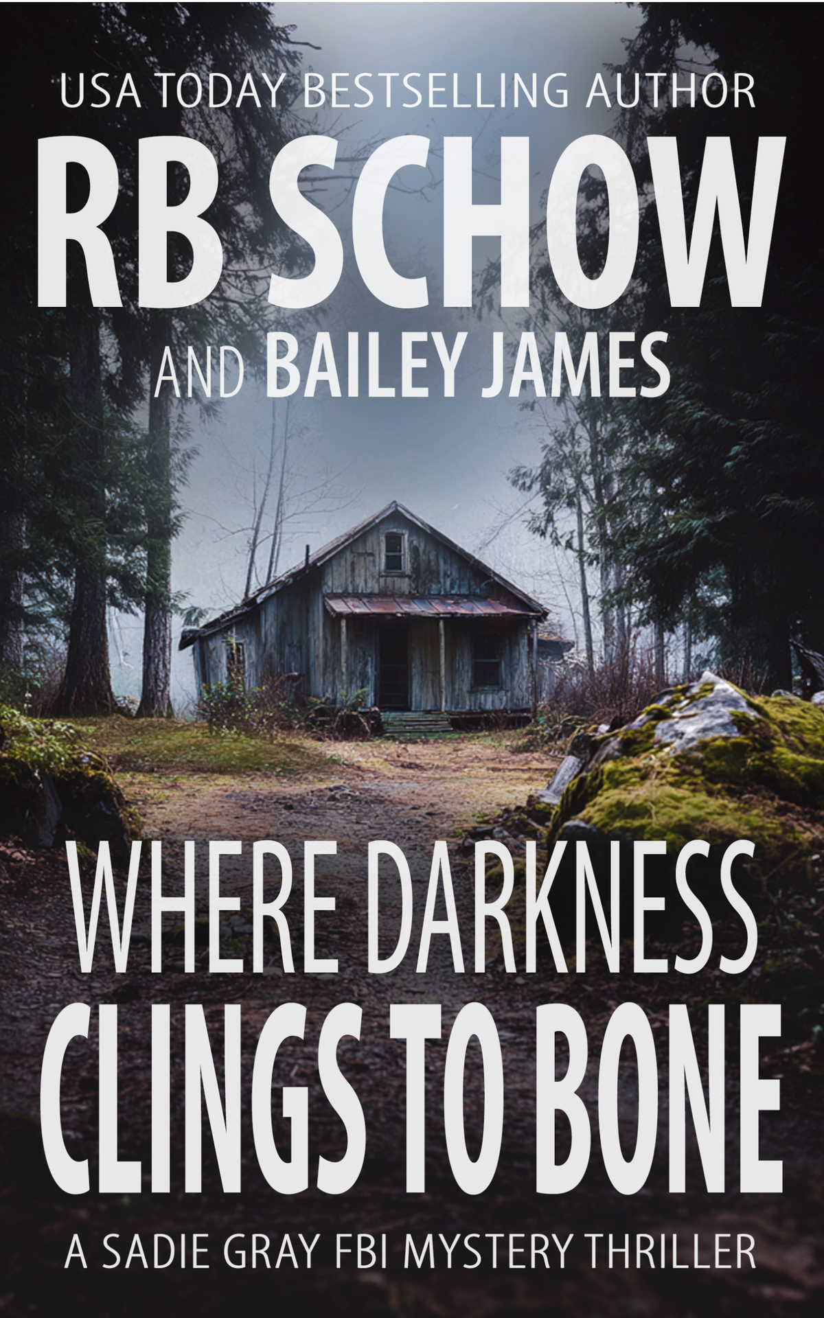 Where Darkness Clings To Bone A Sadie Gray Fbi Mystery Series Rb Schow Bailey James