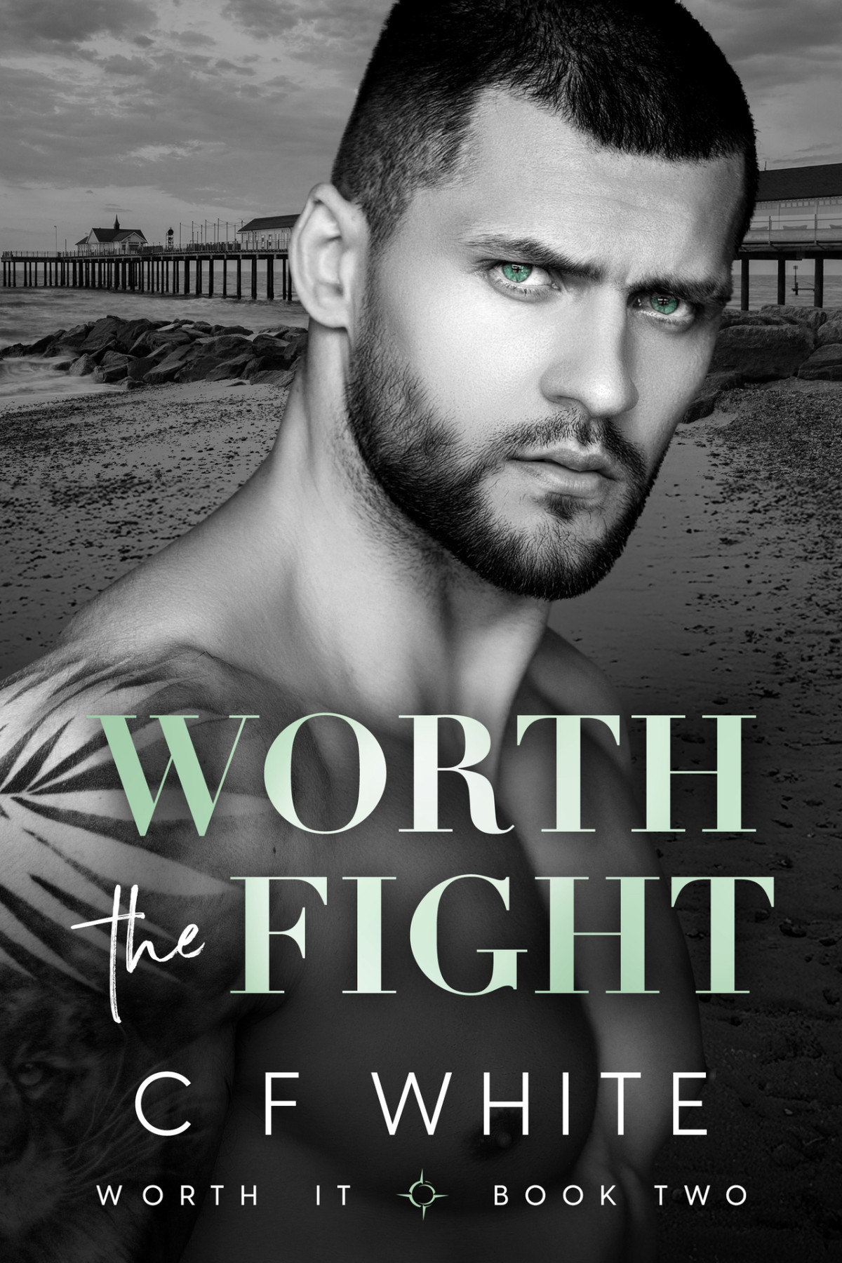 Worth The Fight Worth It 2 Gritty Mm Emergency Services Hurtcomfort Romantic Suspense 1st C F White