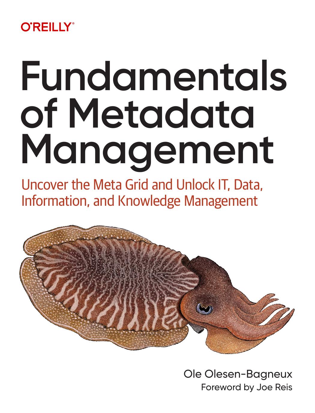 Fundamentals Of Metadata Management Uncover The Meta Grid And Unlock It Data Information And Knowledge Management 1st Edition Ole Olesenbagneux