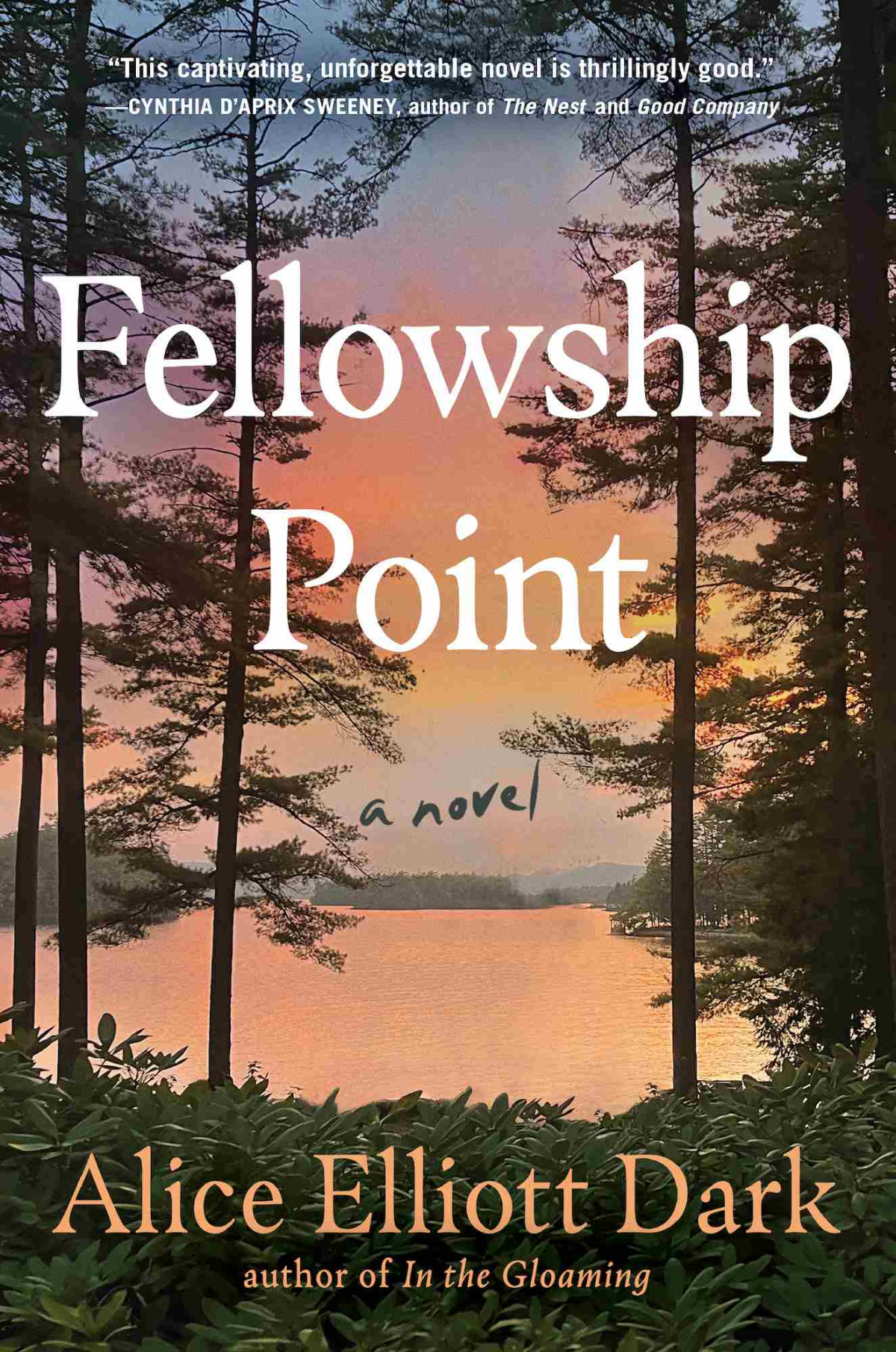 Fellowship Point A Novel Alice Elliott Dark