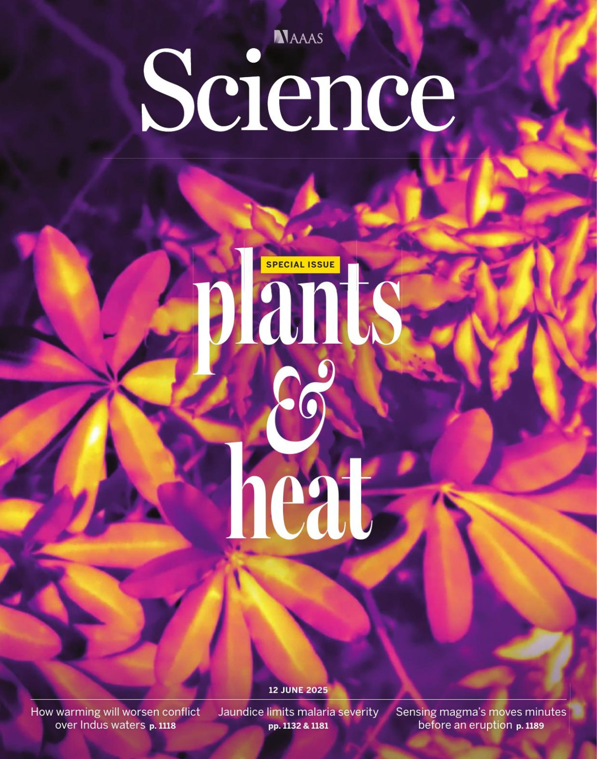 Science Special Issue 6752 Volume 388 12 June 2025 6752th Edition Aaas Science