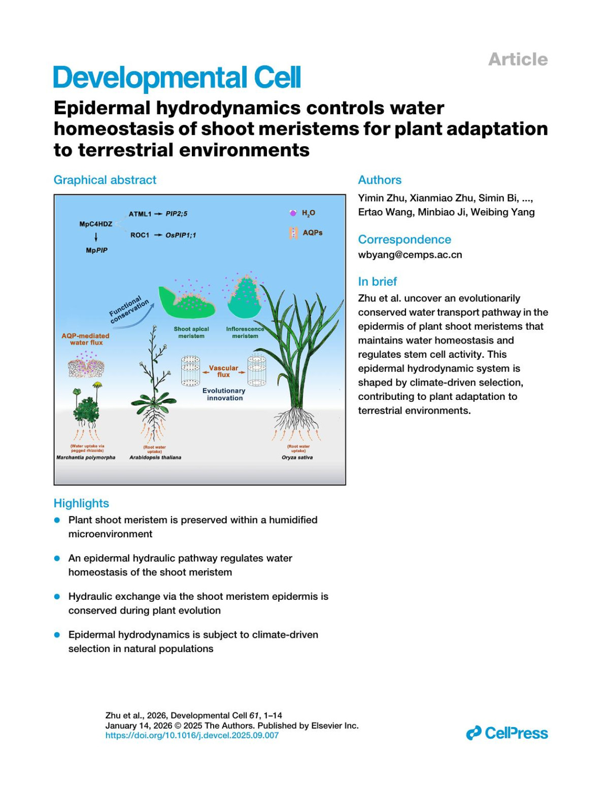 Epidermal Hydrodynamics Controls Waterhomeostasis Of Shoot Meristems For Plant Adaptationto Terrestrial Environments Yimin Zhu Xianmiao Zhu Simin Bi Dan Teng Muhammad Tahir Yangxuan Liu Long Wang Huanhuan Liu Tingting Wen Leyao Zhu Zhenquan Li Xing Chen Minhua Zhang Wenjuan Cai Zhijun Liu Mingyue Zheng Yu Zhang Jiming Gong Jiawei