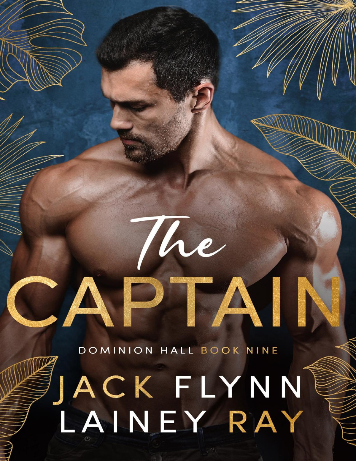 The Captain A Dark Billionaire Military Romance Jack Flynn Lainey Ray