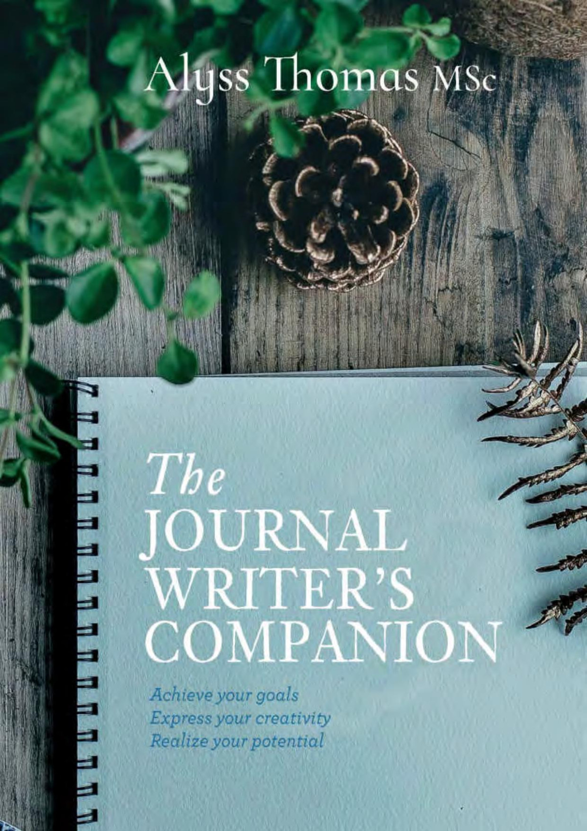 The Journal Writers Companion Achieve Your Goals Express Your Creativity Realize Your Potential Alyss Thomas
