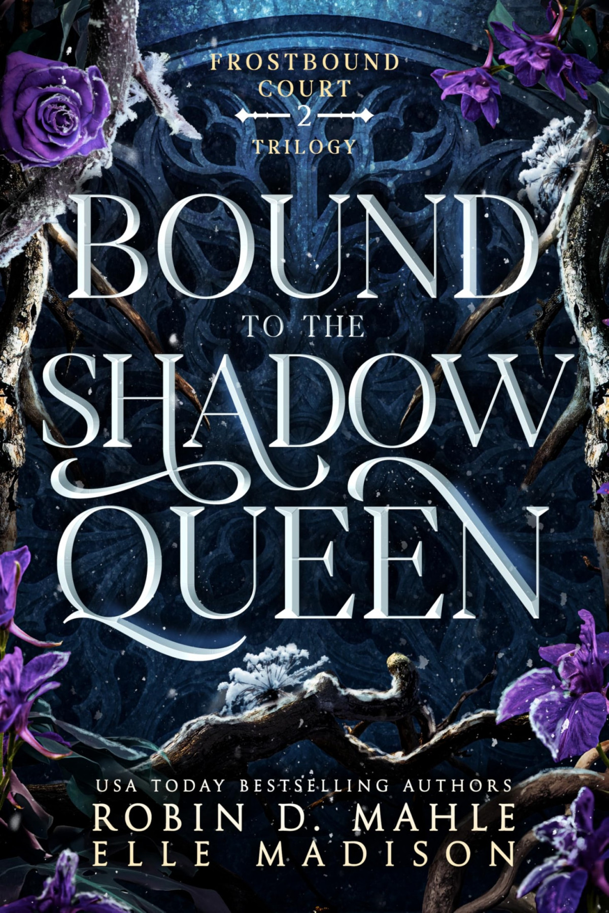 Frostbound Court 2 Bound To The Shadow Queen Robin D Mahle Elle Madison