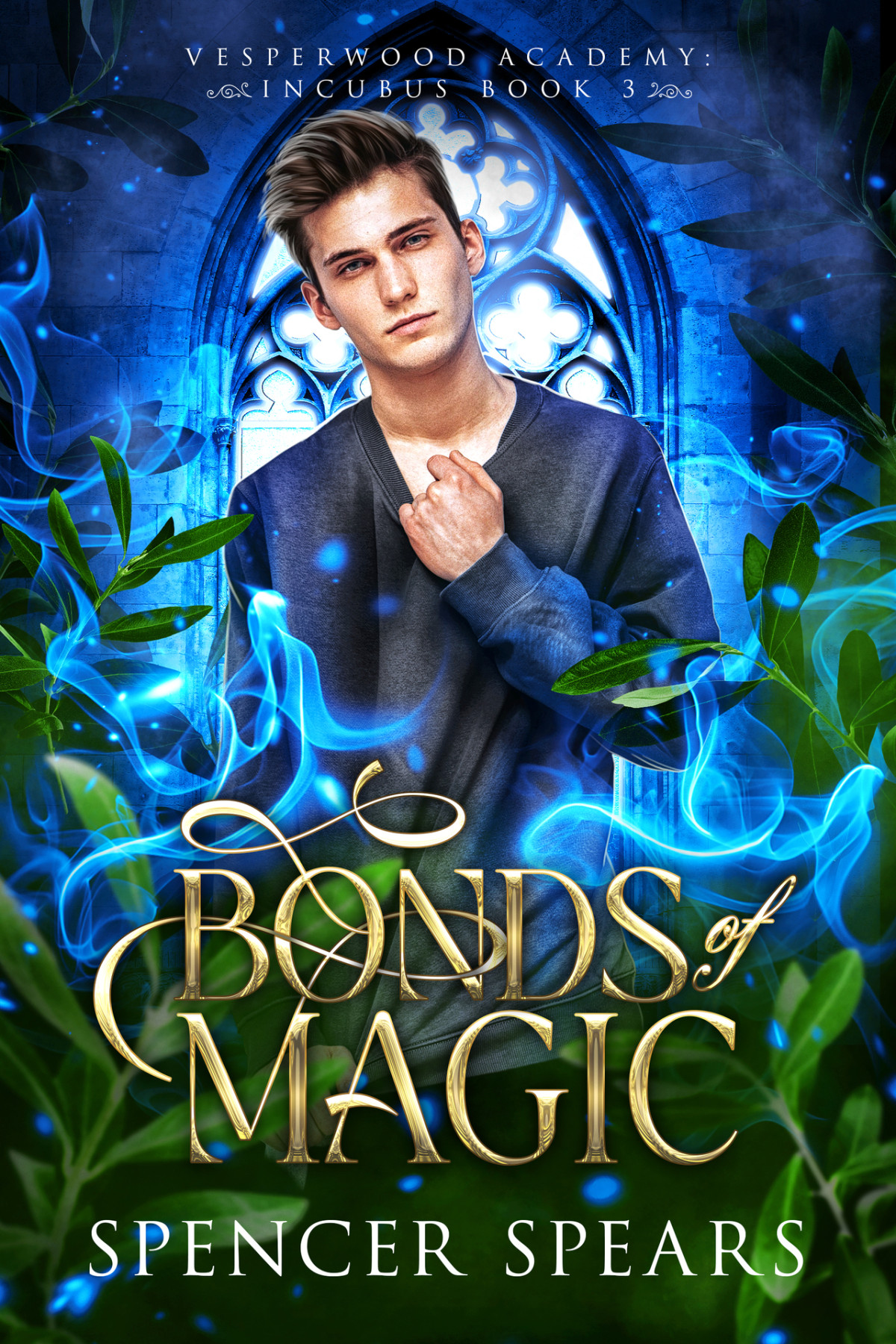 Vesperwood Academy Incubus 3 Bonds Of Magic Spencer Spears
