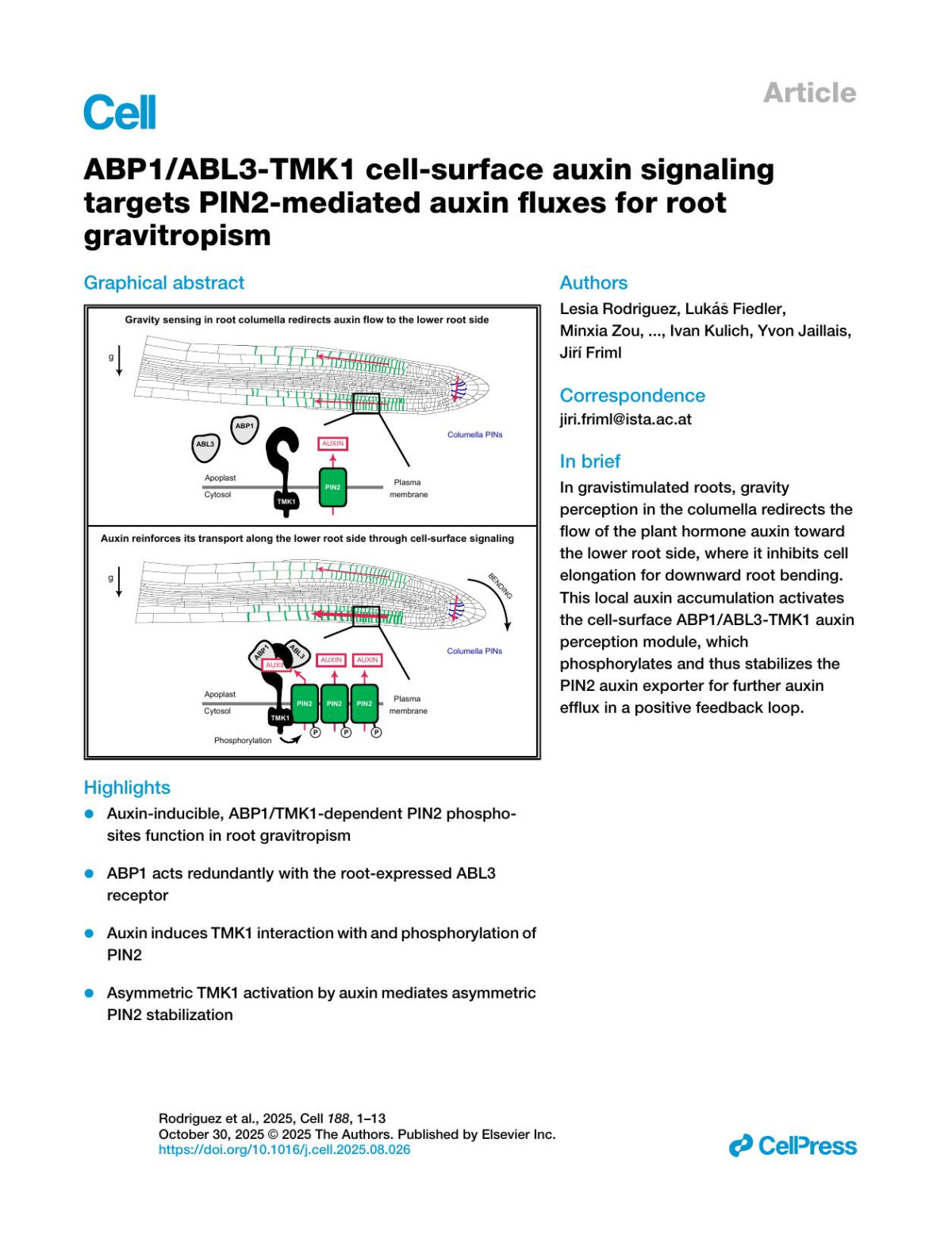 Abp1abl3tmk1 Cellsurface Auxin Signalingtargets Pin2mediated Auxin Fluxes For Rootgravitropism Lesia Rodriguez Lukáš Fiedler Minxia Zou Caterina Giannini Aline Monzer Dmitrii Vladimirtsev Marek Randuch Yongfan Yu Zuzana Gelová Inge Verstraeten Jakub Hajný Meng Chen Shutang Tan Lukas Hoermayer Lanxin Li Maria Mar