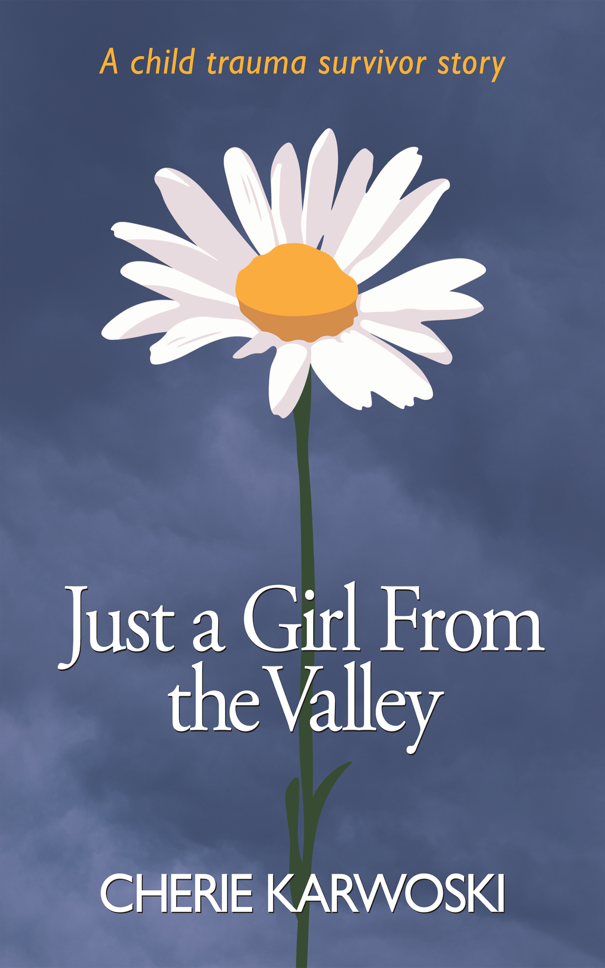 Just A Girl From The Valley A Child Trauma Survivor Story Karwoski