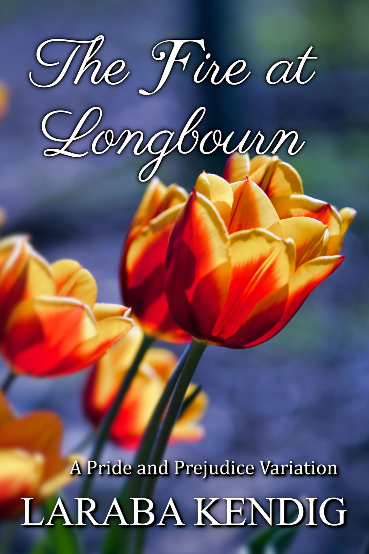 The Fire At Longbourn A Pride And Prejudice Variation 1st Edition Laraba Kendig