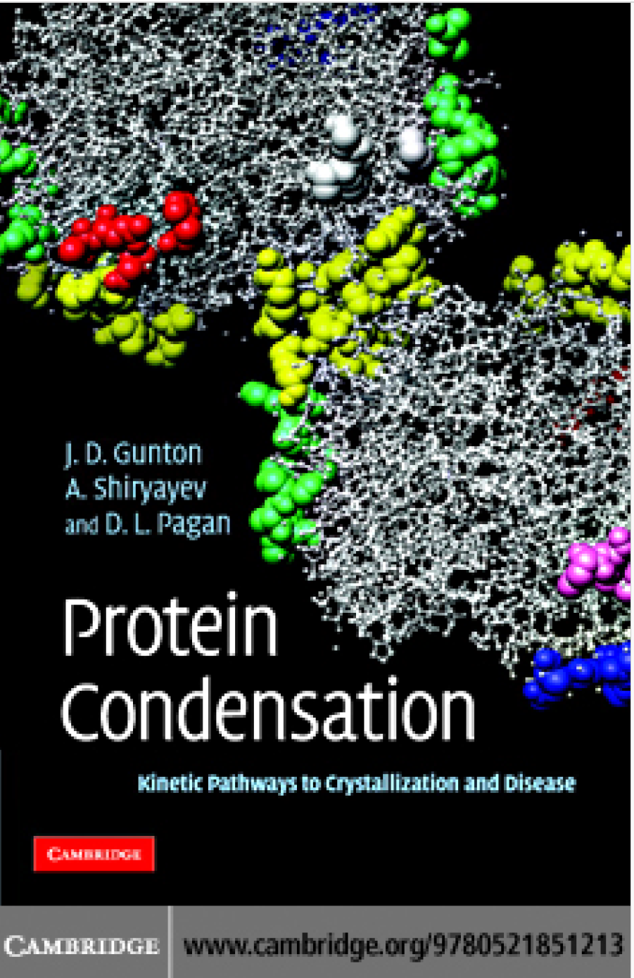 Protein Condensation Kinetic Pathways To Crystallization And Disease J D Gunton