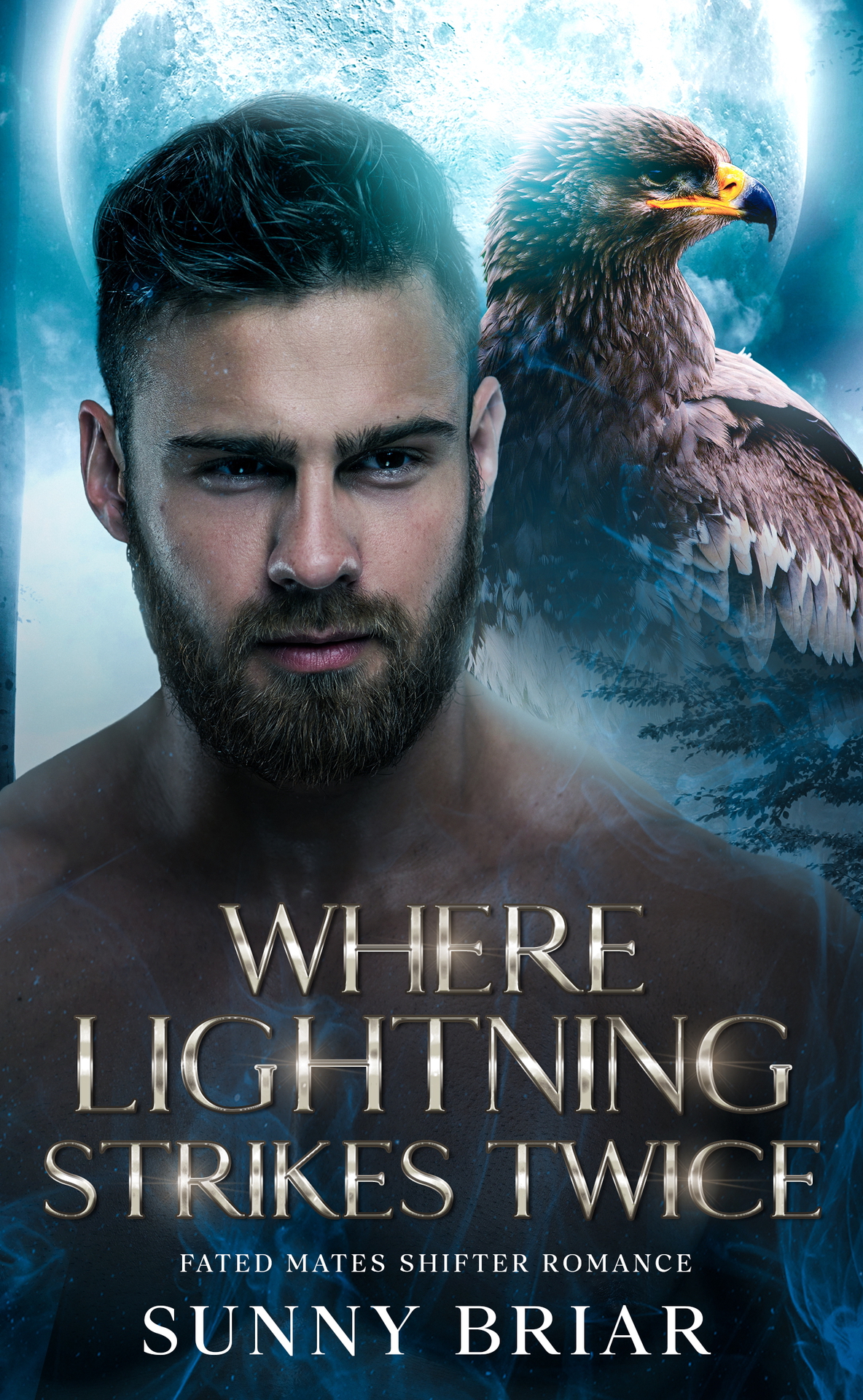 Where Lightning Strikes Twice Fated Mates Shifter Romance Fated Mates Stubborn Hearts A Wild Territories Shifter Romance Series Book 2 Sunny Briar