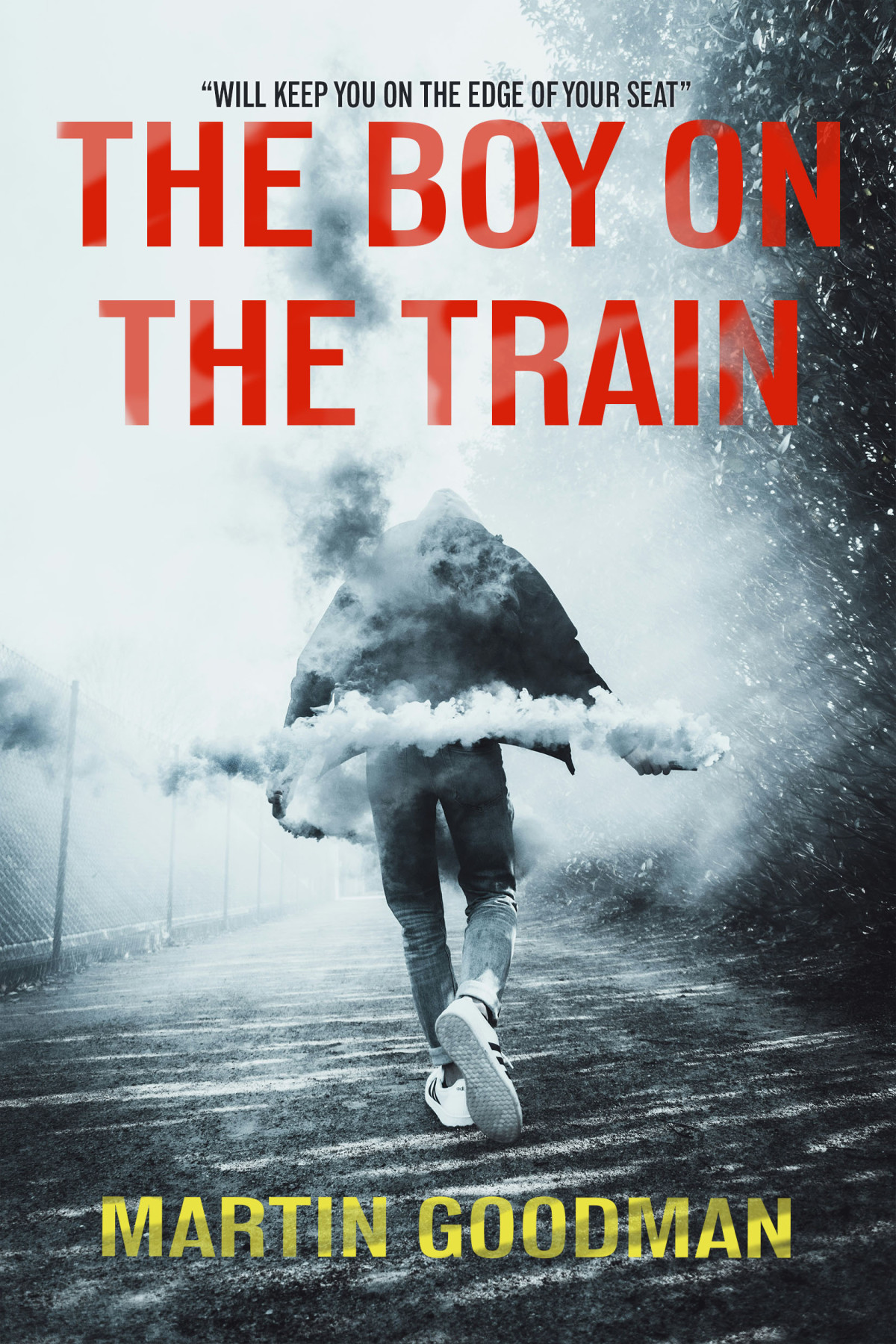The Boy On The Train Martin Goodman