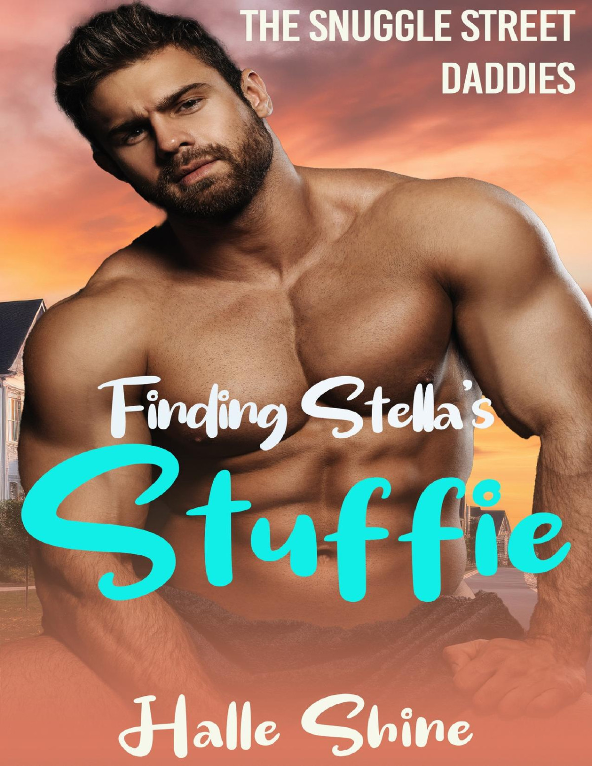Finding Stellas Stuffie An Age Play Age Gap Ddlg Instalove Daddy Romance The Snuggle Street Daddies Book 2 Halle Shine