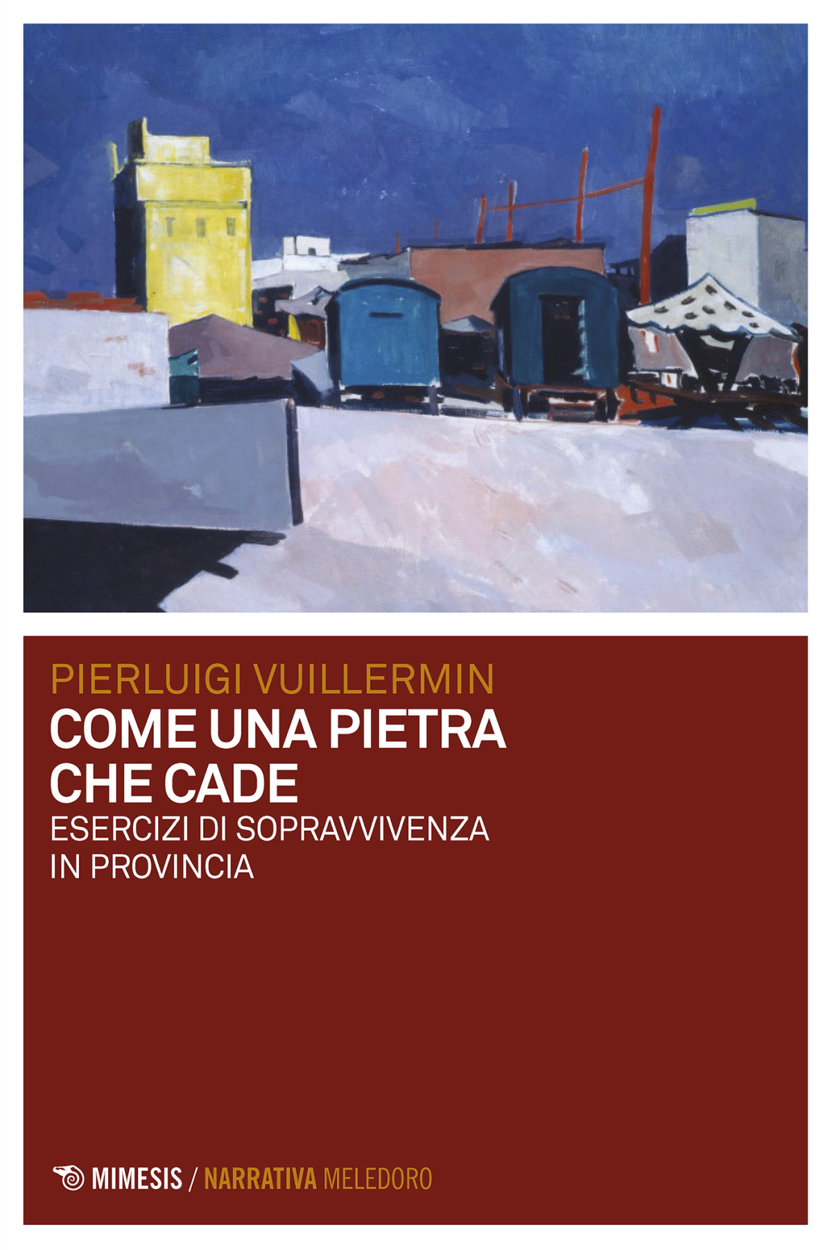 Come Una Pietra Che Cade Esercizi Di Sopravvivenza In Provincia Pierluigi Vuillermin