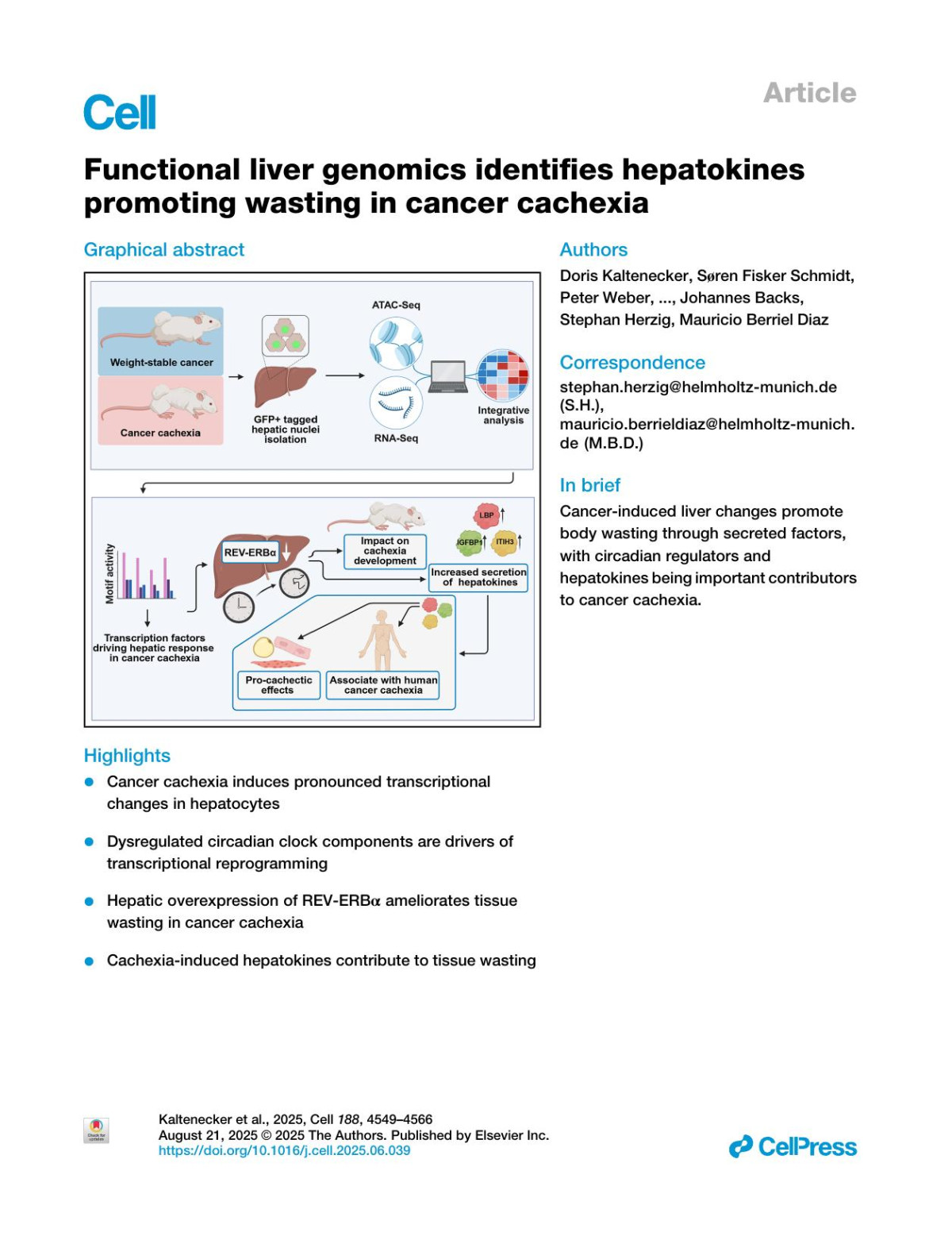 Functional Liver Genomics Identifies Hepatokines Promoting Wasting In Cancer Cachexia Doris Kaltenecker Søren Fisker Schmidt Peter Weber Anne Loft Pauline Morigny Juliano Machado Julia Geppert Kerstin Beate Saul Pia Benedikt Claudiaeveline Molocea Rachel Scott Kerstin Haase Marc E Martignoni Ana Jimena Alfaro