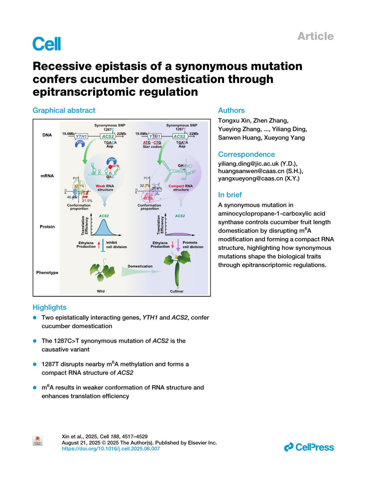 Recessive Epistasis Of A Synonymous Mutation Confers Cucumber Domestication Through Epitranscriptomic Regulation Tongxu Xin Zhen Zhang Yueying Zhang Xutong Li Shenhao Wang Guanqun Wang Haoxuan Li Bowen Wang Mengzhuo Zhang Wenjing Li Haojie Tian Zhonghua Zhang Yulan Xiao Weixin Tang Chuan He Yiliang Ding Sanwen Huang Xueyong Yang